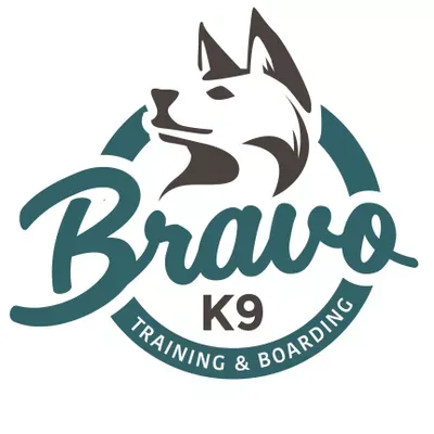 Bravo K9 Training & Boarding