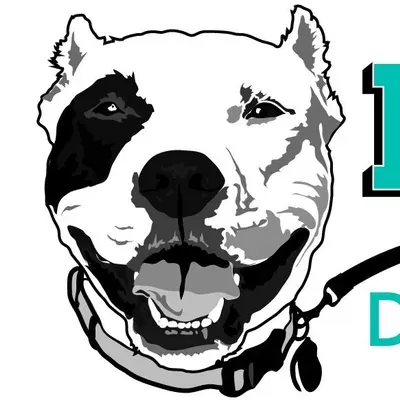 Pit Stop Dog Walking & Pet Care