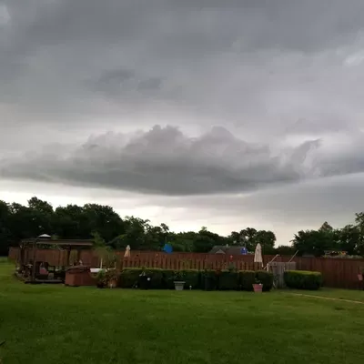 Frank's Lawn Care