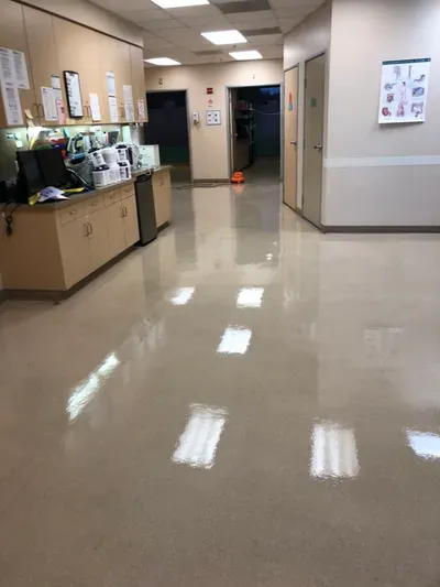 Above The Rest Janitorial Services