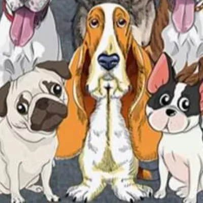 Pawsdotjess INC