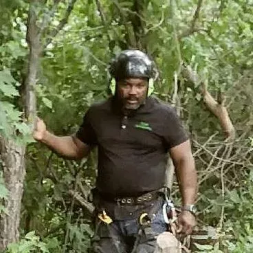The Tree Mechanic