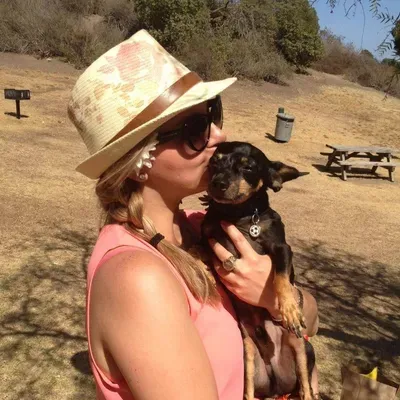 Star's Dog Walking
