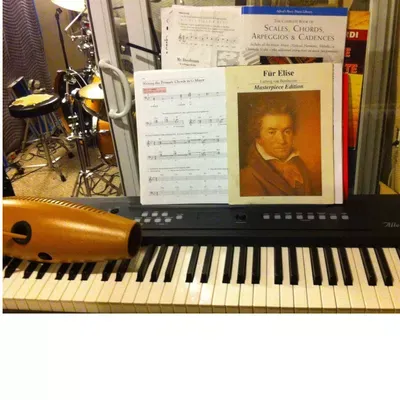 Bazzani  Studios