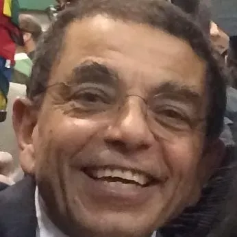 Ihab Farag