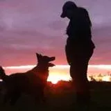 Kentucky Dog Training LLC