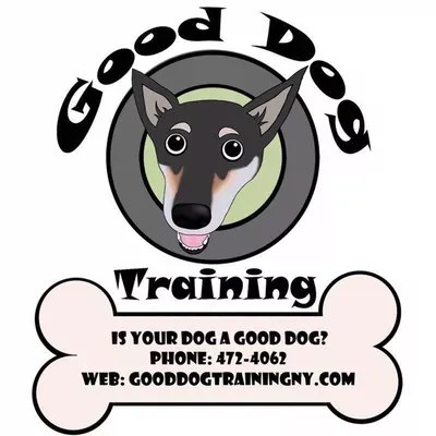 Good Dog Training ?