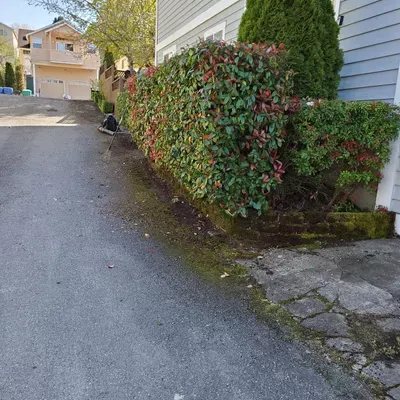 Small Guy Landscaping
