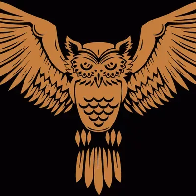EvoDesign Enterprises LLC