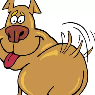 Doggedly