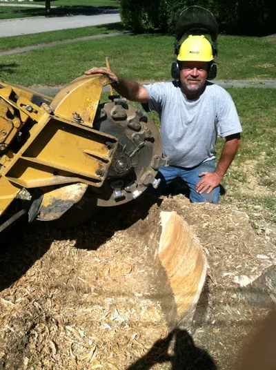 AAA Swartz Stump Grinding