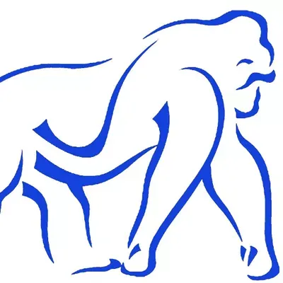Gorilla Pool Service, LLC