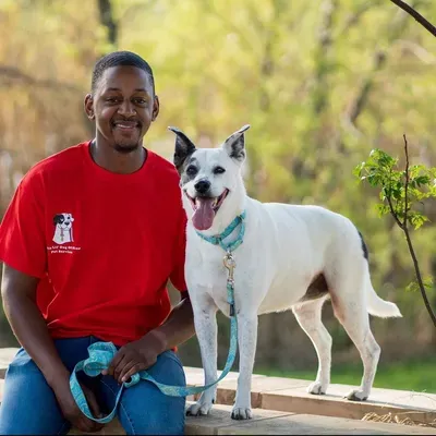 This Lil Dog of Mine Pet Services