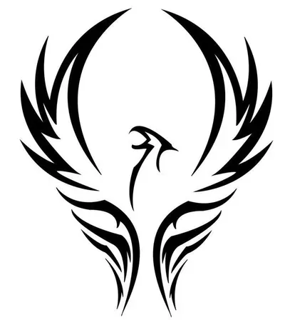 Phoenix Landscaping