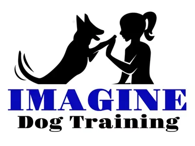 Imagine Dog Training