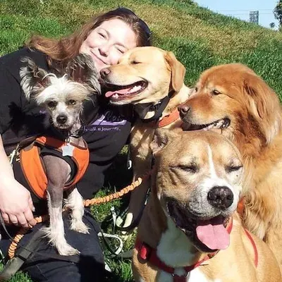 Dani's Barks and Rec