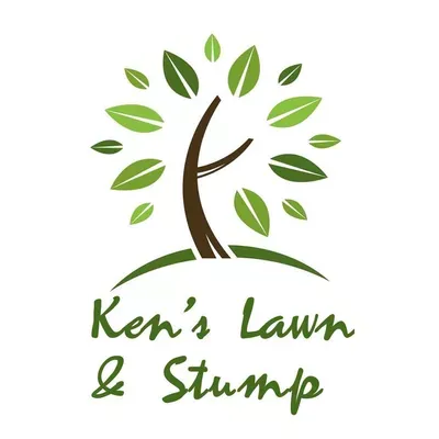 Ken's Lawn and Stump