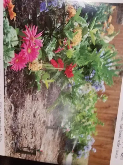 Top Rank Sprinklers Landscaping