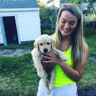 Brooke's Pet Sitting