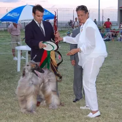 Alfonso’s mobile grooming