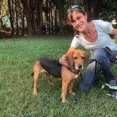 Pups to Pooches Dog Training & Behavior Consulting