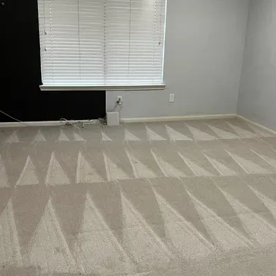 Mendoza Cleaning pros