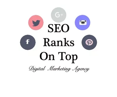 SEO Ranks On Top