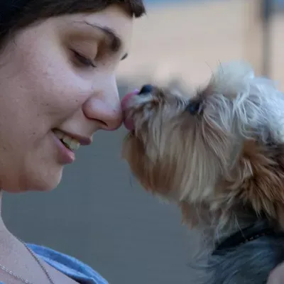 Paw Pals Dog Walking & Pet Care