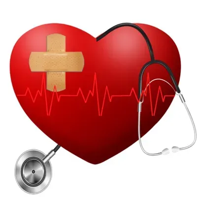 THE CPR CENTER