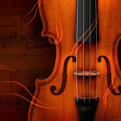Denise Martel Bovie - String Instrument Lessons