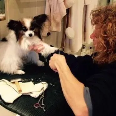 Nancy's Shaggy to Chic Mobile Dog Grooming