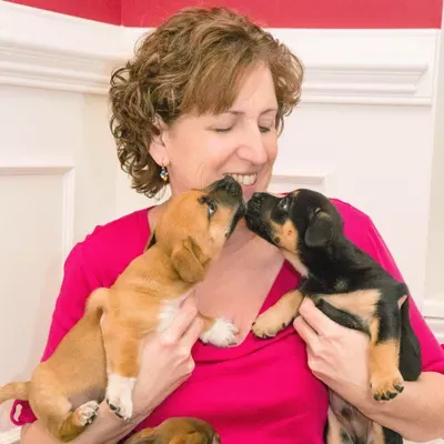 Social Tailwaggers, LLC
