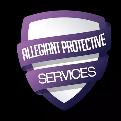 Delux Security LLC