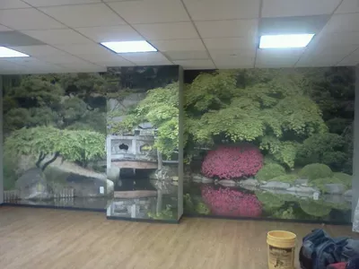 Star wall covering llc