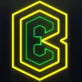 BUDDIELECTRIC LLC