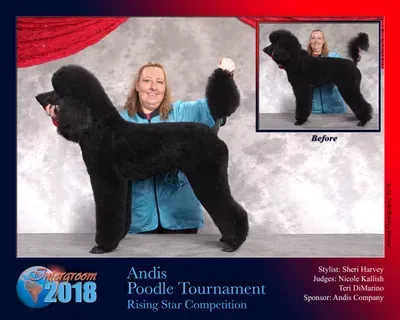 Sheri's Pampered Pets