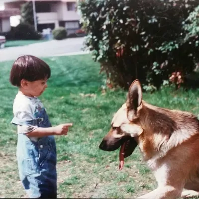 Solomon's Dog Training