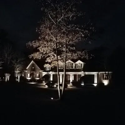 Zenscapes Landscape Lighting NO HOLIDAY or STRING