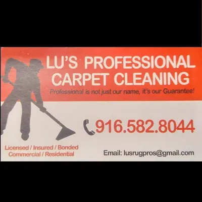 Lu's Professional Carpet Cleaning