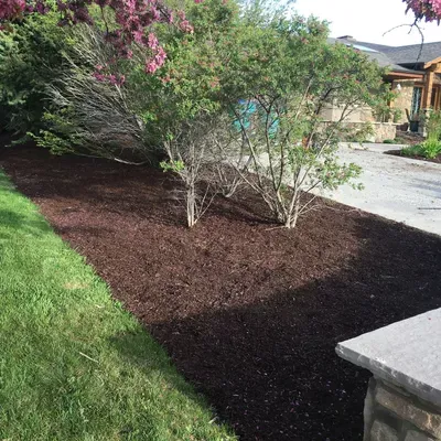 American landscape llc