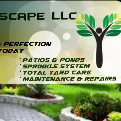 AUDILANDSCAPE LLC