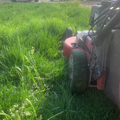 Lawn Barber Llc