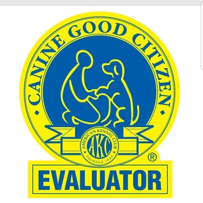 Ariana's. Elite Paws Dog Training LLC.