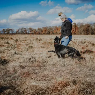 Eastern Shore K9 Solutions, LLC