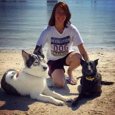 Revolution Dog Training