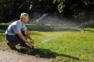 Clear Cut Lawn and Sprinkler
