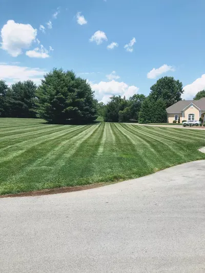 MOW-RIGHT  LAWN & LANDSCAPING