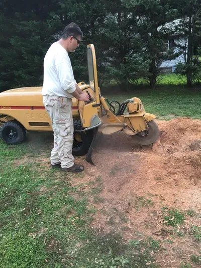 Jenksy's Stump Removal