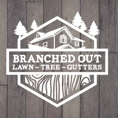 Branched Out Gutters