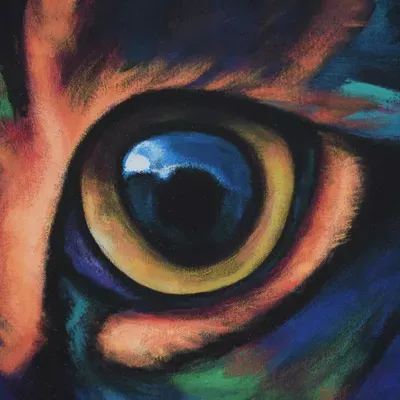 Cat's Eye Cat Sitting